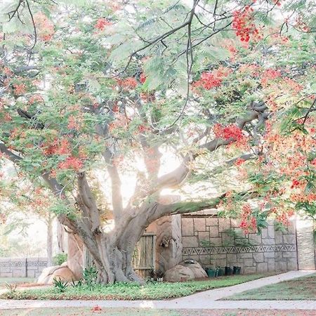 Tshukudiba Game Lodge Tom Burke Esterno foto