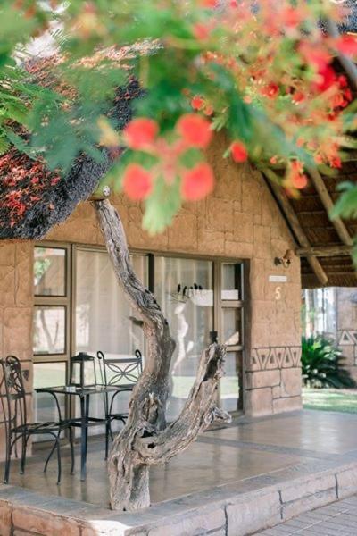 Tshukudiba Game Lodge Tom Burke Esterno foto